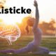 Holisticke